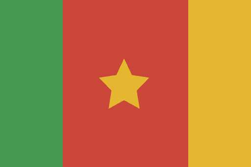 Cameroun flag med stjerne