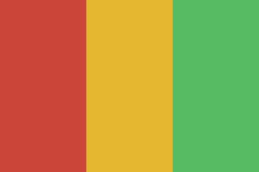 Guinea flag